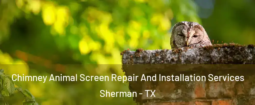  Chimney Animal Screen Repair And Installation Services Sherman - TX