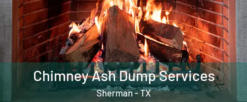 Chimney Ash Dump Services Sherman - TX