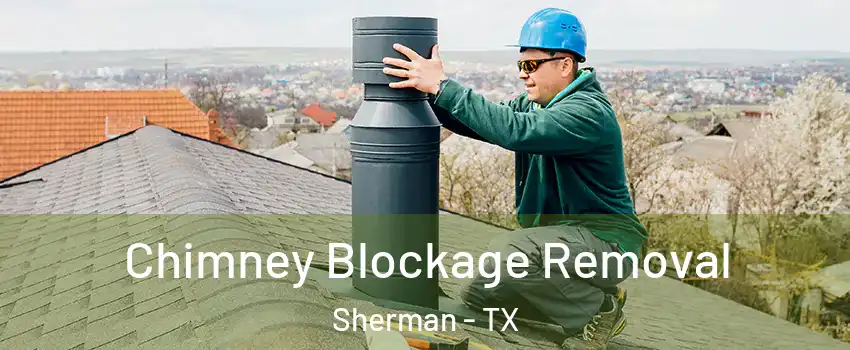  Chimney Blockage Removal Sherman - TX
