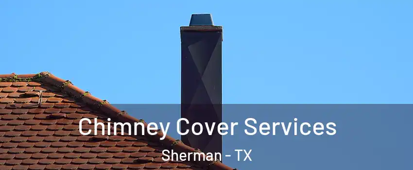  Chimney Cover Services Sherman - TX