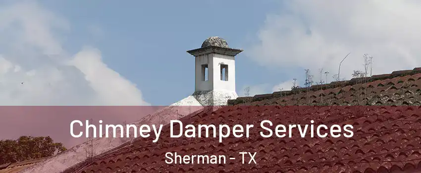  Chimney Damper Services Sherman - TX