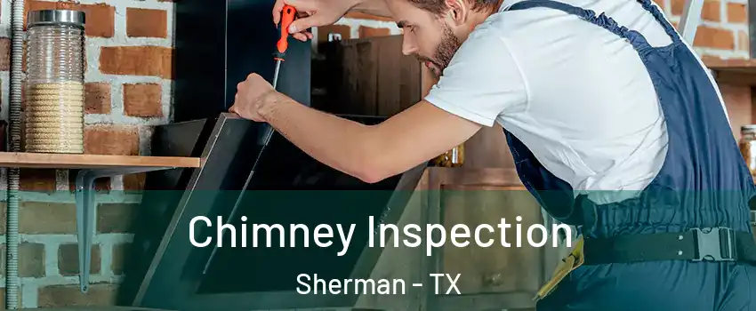  Chimney Inspection Sherman - TX