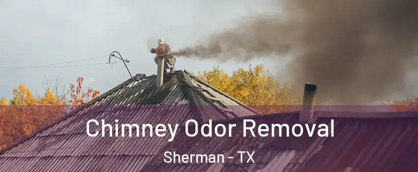  Chimney Odor Removal Sherman - TX