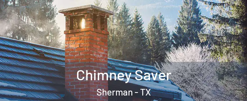  Chimney Saver Sherman - TX