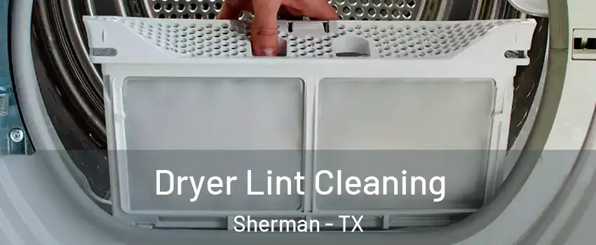  Dryer Lint Cleaning Sherman - TX