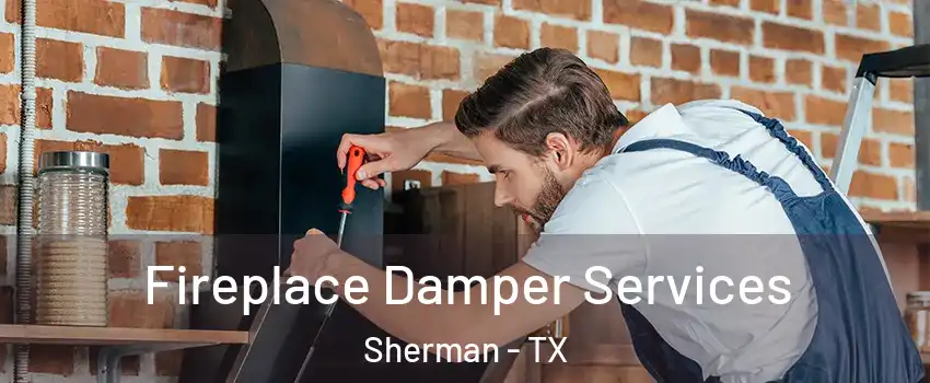  Fireplace Damper Services Sherman - TX