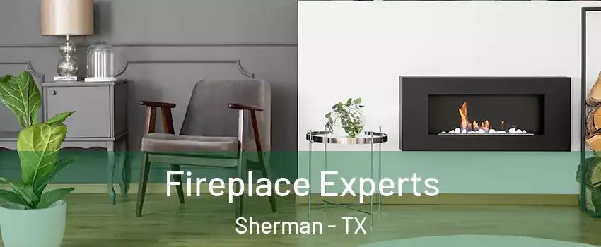  Fireplace Experts Sherman - TX