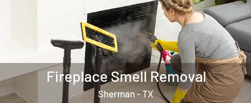  Fireplace Smell Removal Sherman - TX