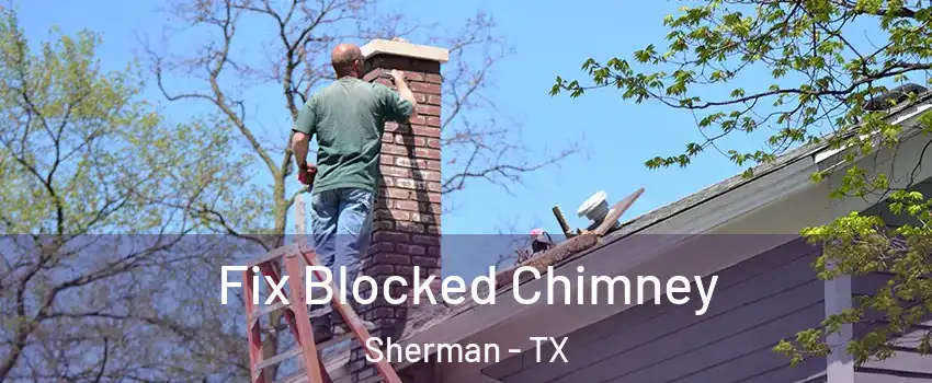  Fix Blocked Chimney Sherman - TX