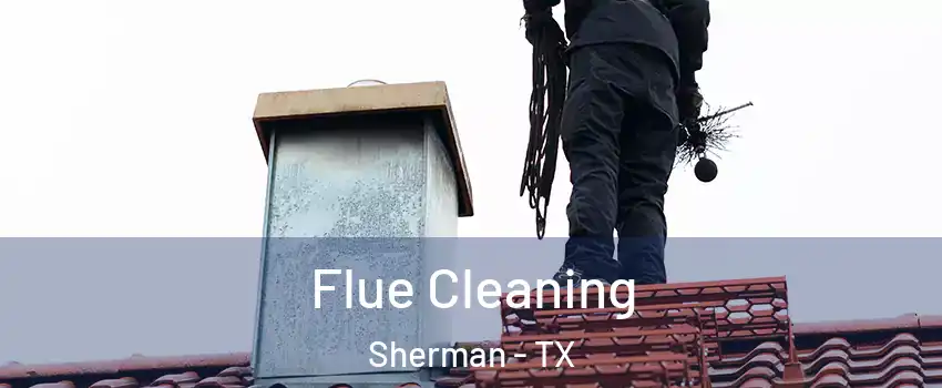  Flue Cleaning Sherman - TX