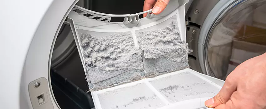 Best Dryer Lint Removal Company in Sherman, Texas