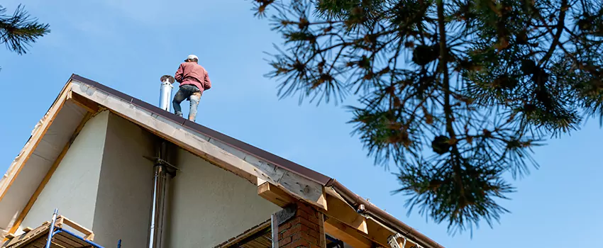 Birds Removal Contractors from Chimney in Sherman, TX