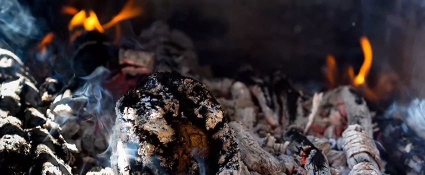 Creosote Removal Experts in Sherman, TX
