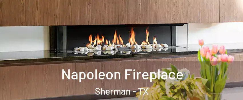  Napoleon Fireplace Sherman - TX