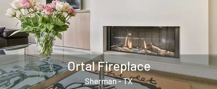 Ortal Fireplace Sherman - TX